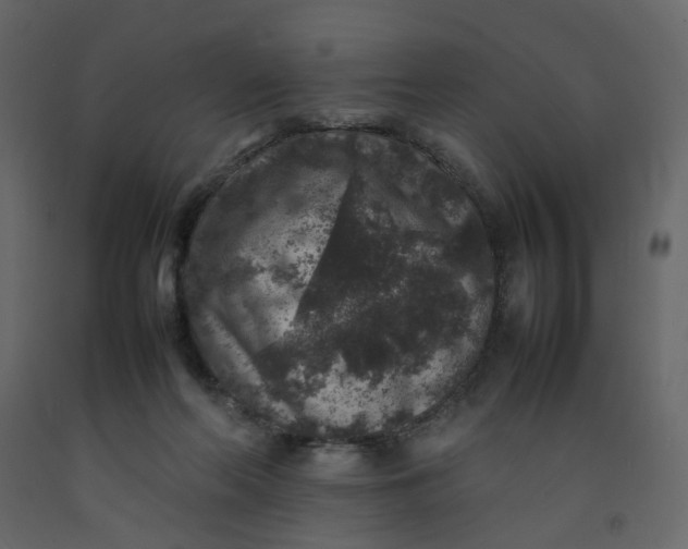 X0000092220214200710051205