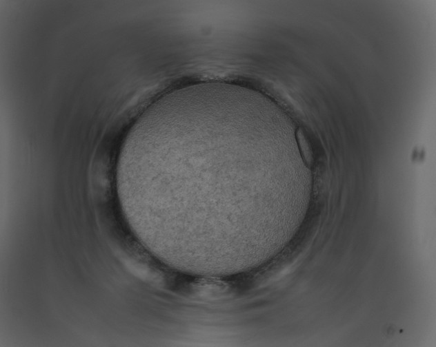 X0000092220215200710051205