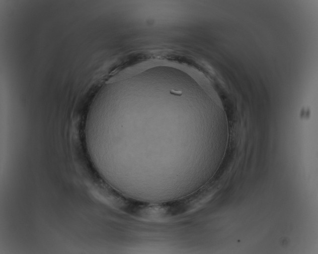 X0000092220217200710051205
