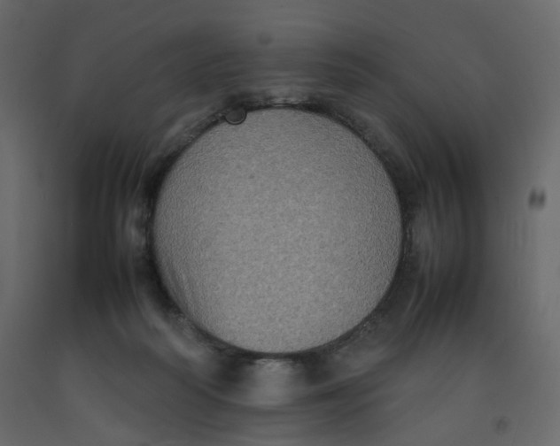 X0000092220218200710051205