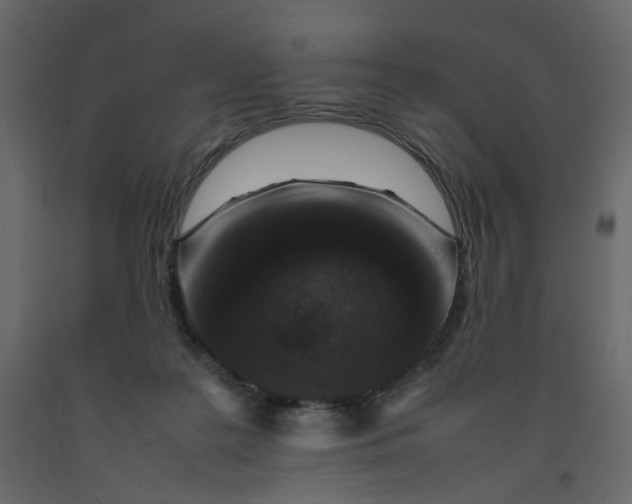X0000092220219200710051205