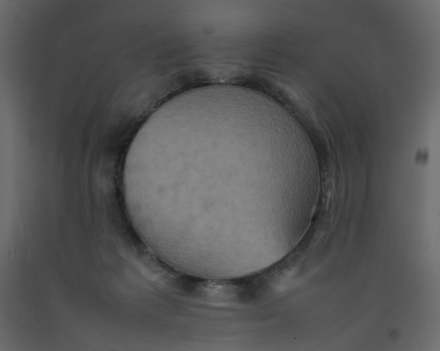 X0000092220221200710051205