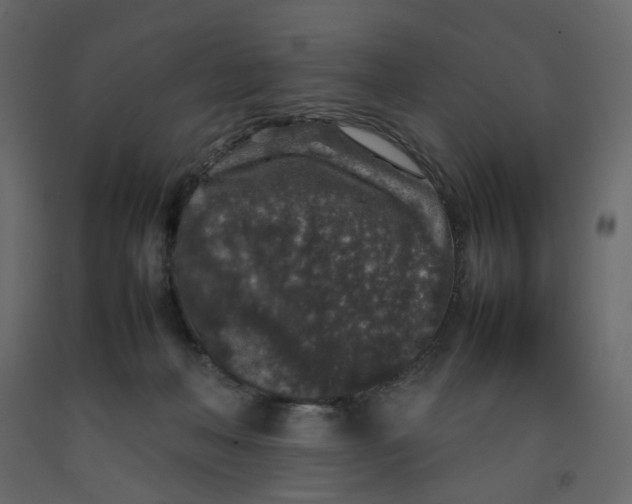 X0000092220222200710051205