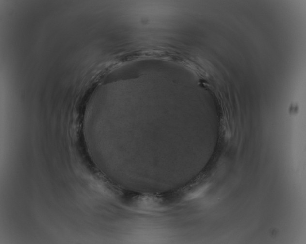X0000092220223200710051205