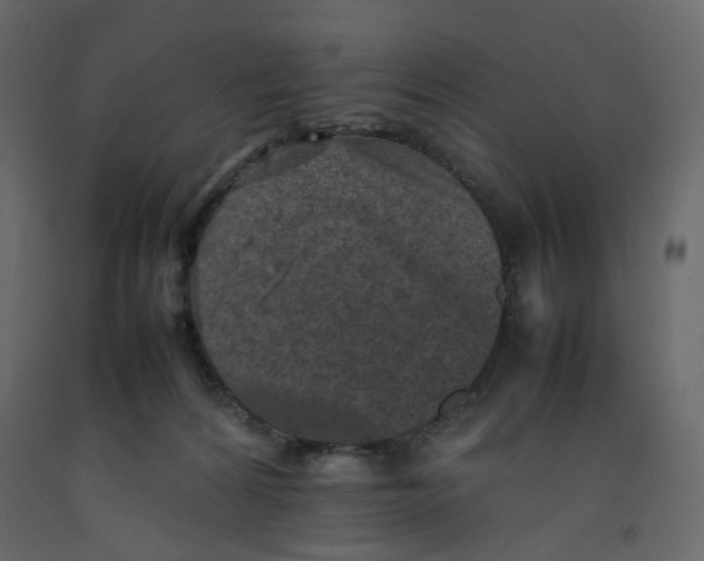 X0000092220224200710051205