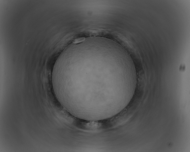 X0000092220225200710051205