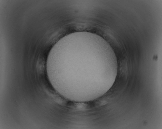 X0000092220226200710051205