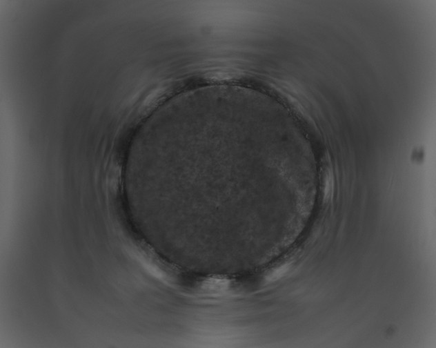 X0000092220227200710051205