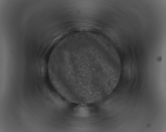 X0000092220228200710051205