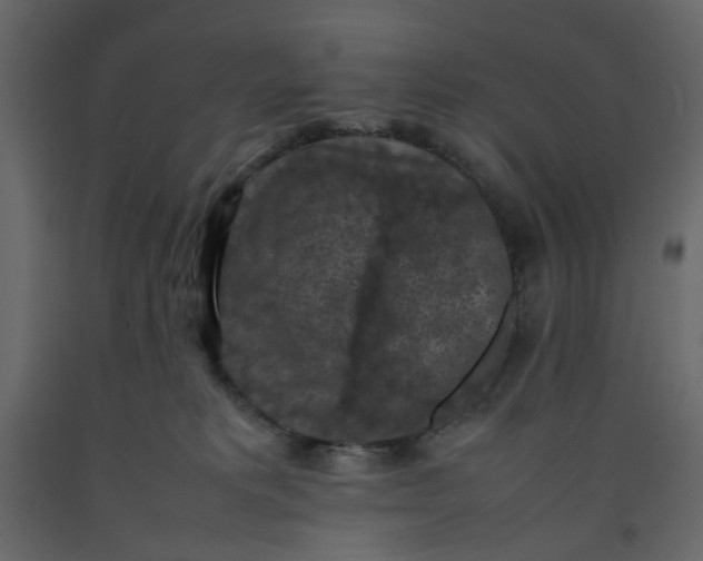 X0000092220229200710051205