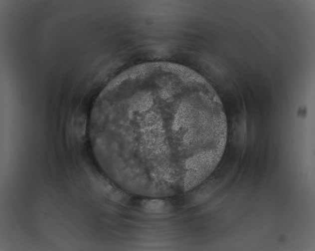 X0000092220230200710051205