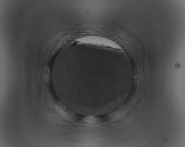 X0000092220231200710051205