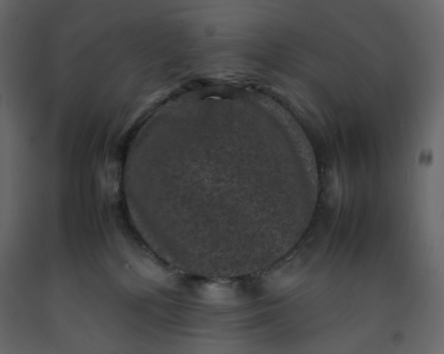 X0000092220232200710051205