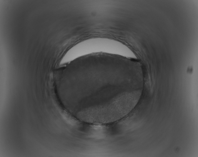 X0000092220233200710051205