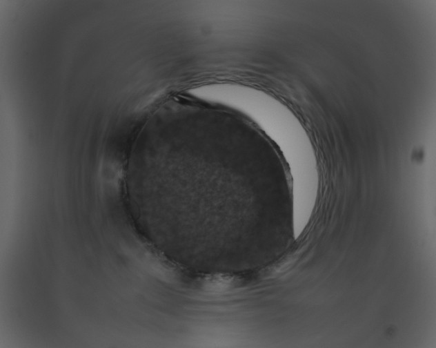 X0000092220235200710051205