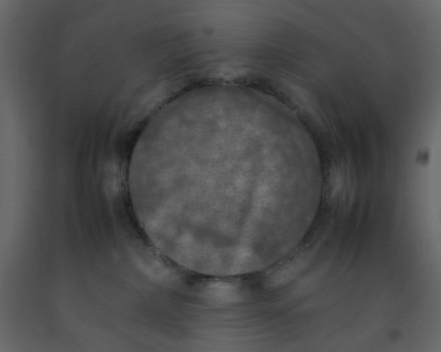 X0000092220236200710051205