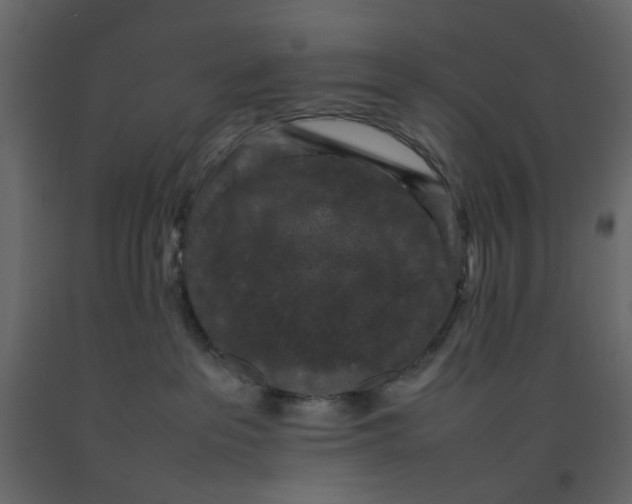 X0000092220237200710051205