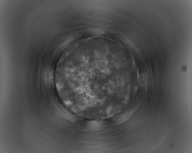X0000092220238200710051205