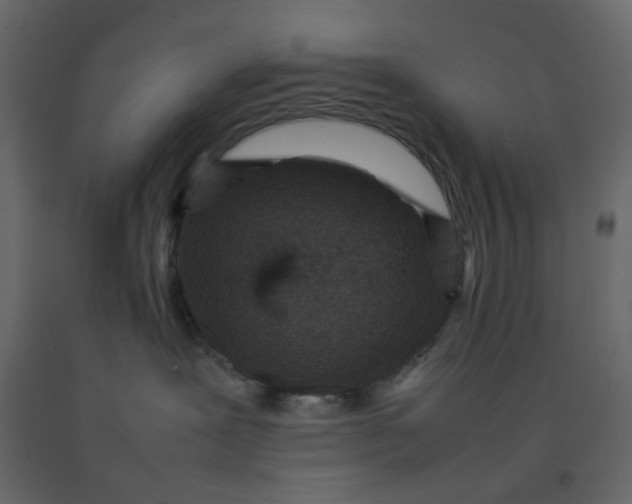 X0000092220239200710051205