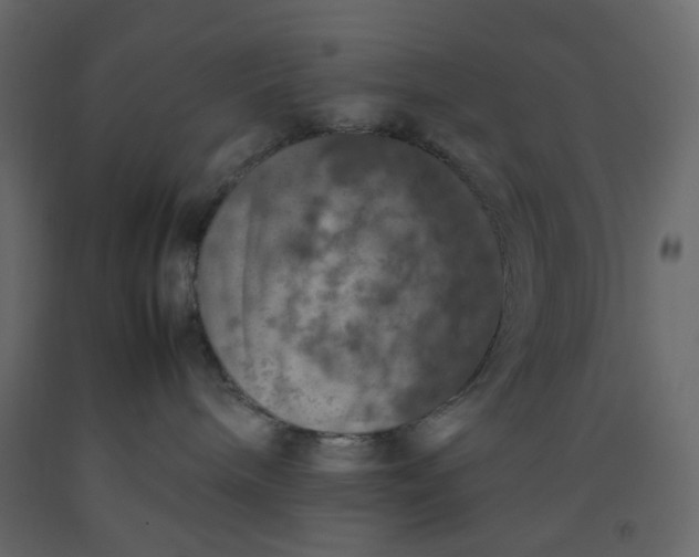 X0000092220240200710051204