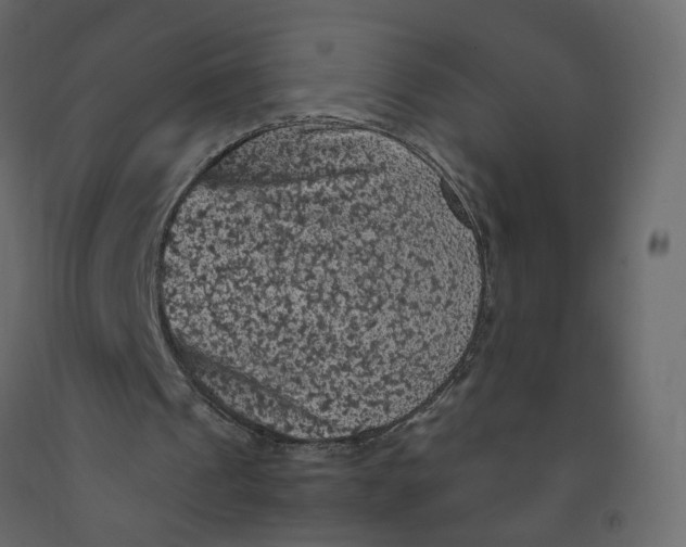 X0000092220241200710051204