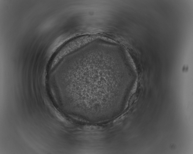 X0000092220242200710051204