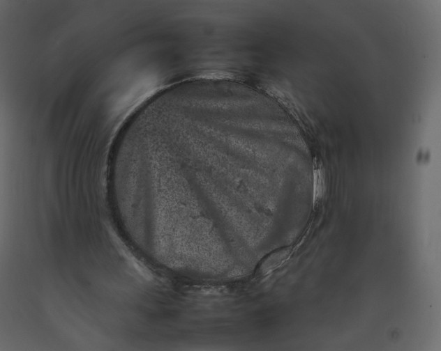 X0000092220243200710051204