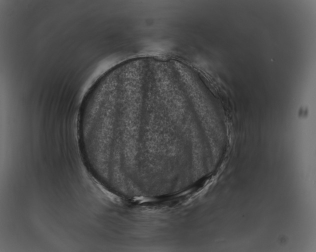 X0000092220244200710051204