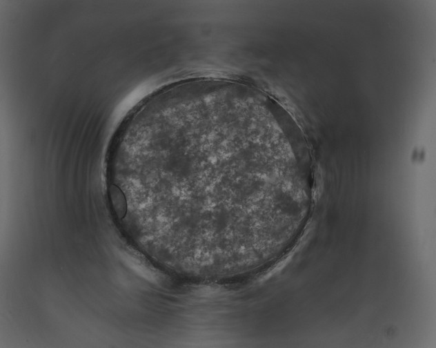 X0000092220246200710051204