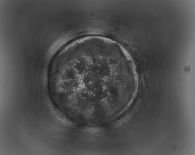 X0000092220247200710051204