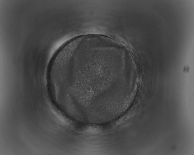 X0000092220248200710051204