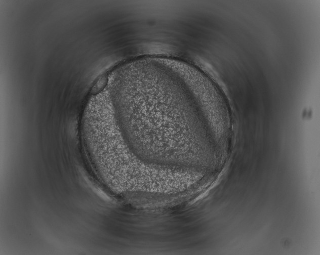 X0000092220249200710051204
