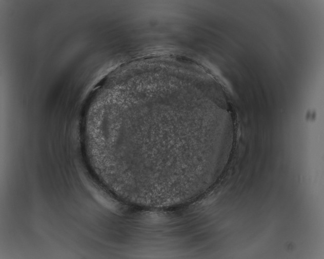 X0000092220250200710051204