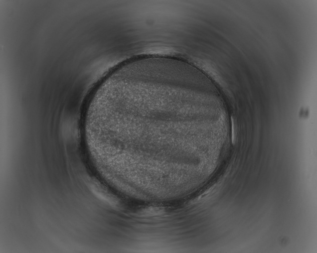 X0000092220252200710051204