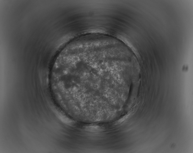X0000092220253200710051204