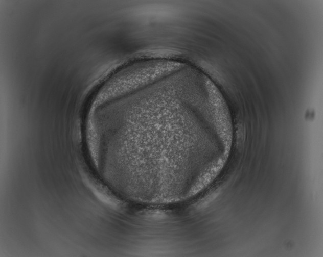 X0000092220254200710051204