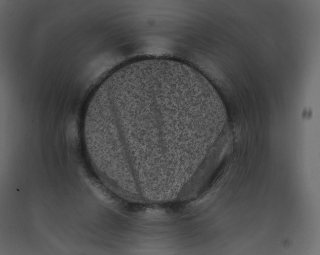 X0000092220256200710051204