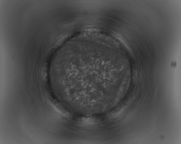 X0000092220259200710051204