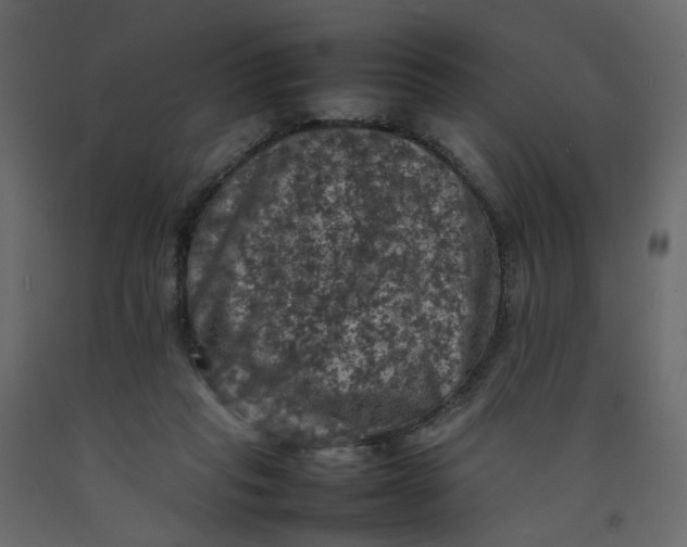 X0000092220261200710051204