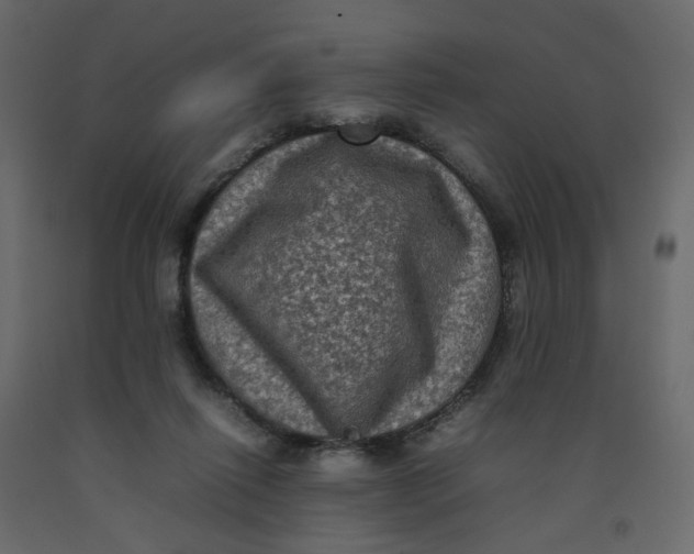 X0000092220262200710051204