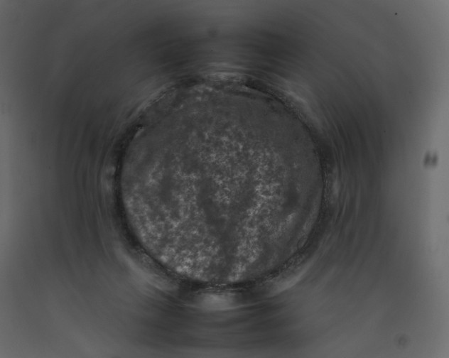 X0000092220263200710051204