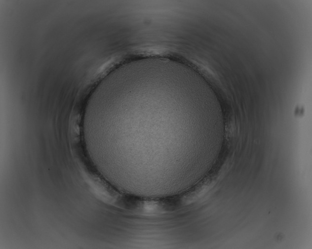 X0000092220264200710051204