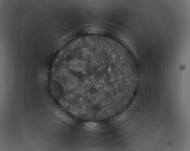 X0000092220265200710051204