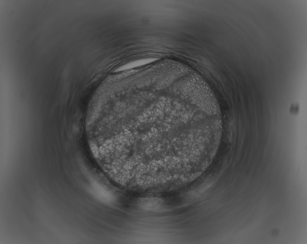 X0000092220266200710051204