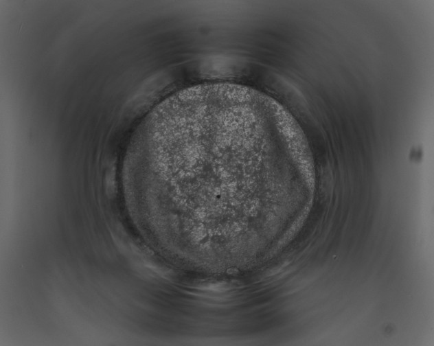 X0000092220267200710051204