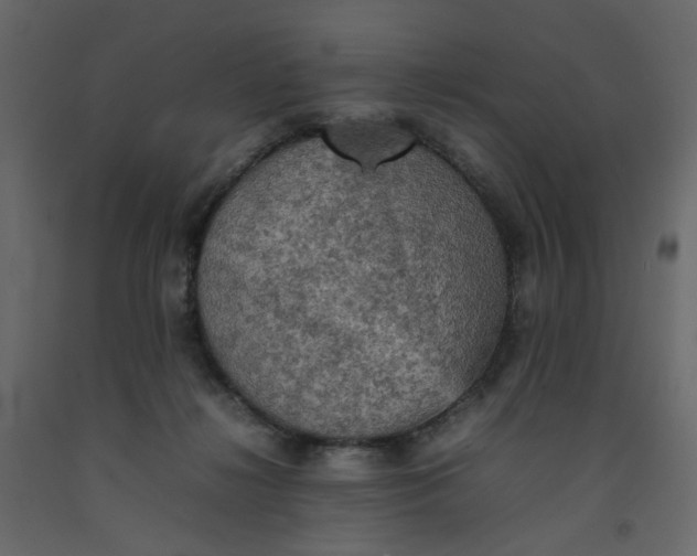 X0000092220268200710051204