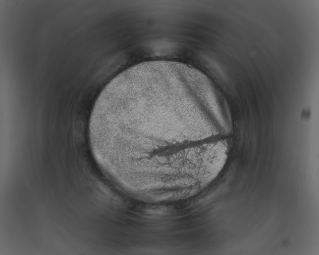 X0000092220269200710051204