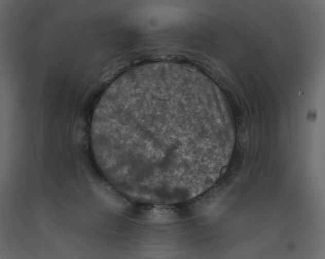 X0000092220270200710051204