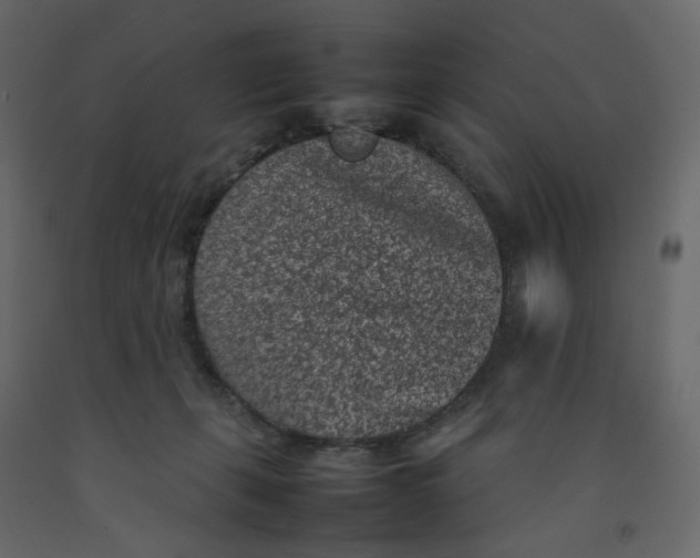 X0000092220271200710051204