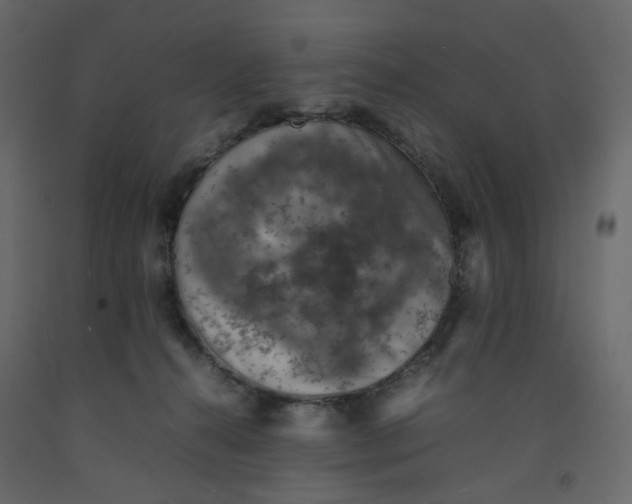 X0000092220272200710051204